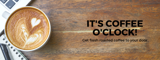 Welcome to Global Coffee Haven: Your Journey to Better Coffee Starts Here