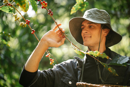 Rooted in Passion: Spotlight on Coffee Growers